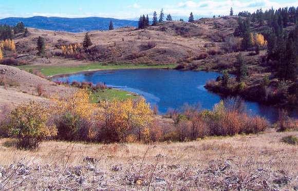 3,646 Acres of Land with Home for Sale in Tonasket, Washington