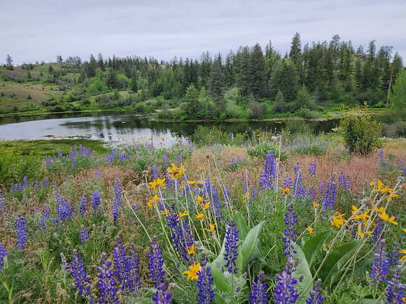 3,646 Acres of Land with Home for Sale in Tonasket, Washington