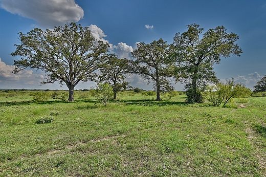 55.8 Acres of Agricultural Land for Sale in Smithville, Texas