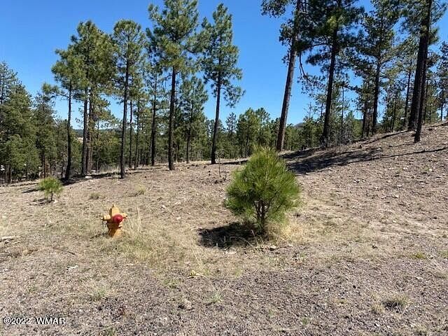 0.66 Acres of Residential Land for Sale in Alpine, Arizona