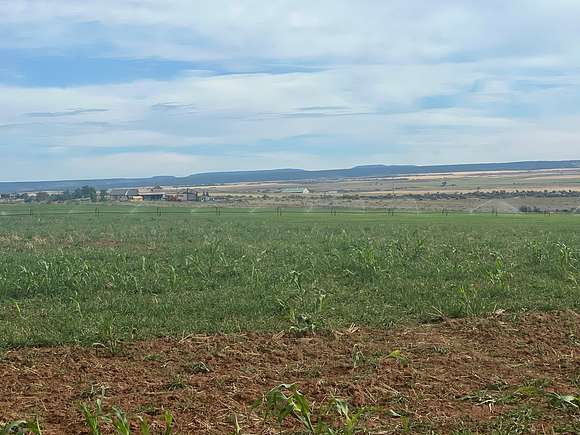 96.6 Acres of Recreational Land & Farm for Sale in Yellow Jacket, Colorado