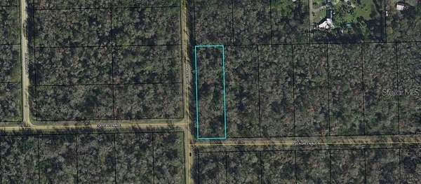 1.1 Acres of Residential Land for Sale in Bunnell, Florida