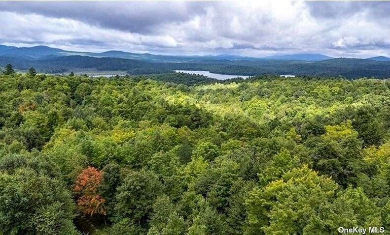 0.76 Acres of Residential Land for Sale in New York, New York