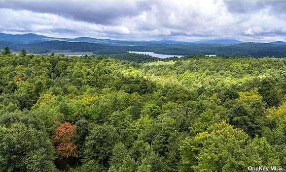 0.76 Acres of Residential Land for Sale in New York, New York