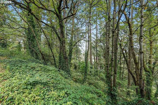 0.31 Acres of Residential Land for Sale in Portland, Oregon