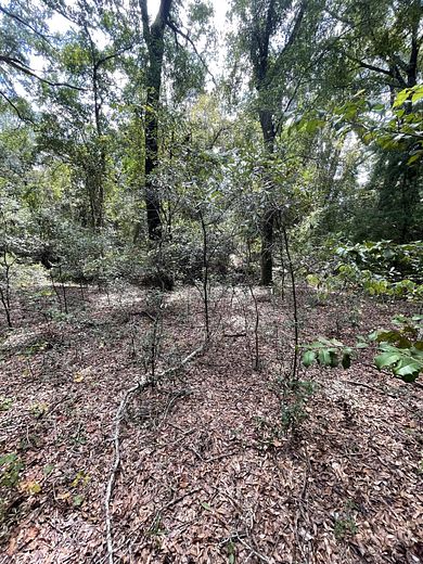 11 Acres of Land for Sale in Eufaula, Alabama