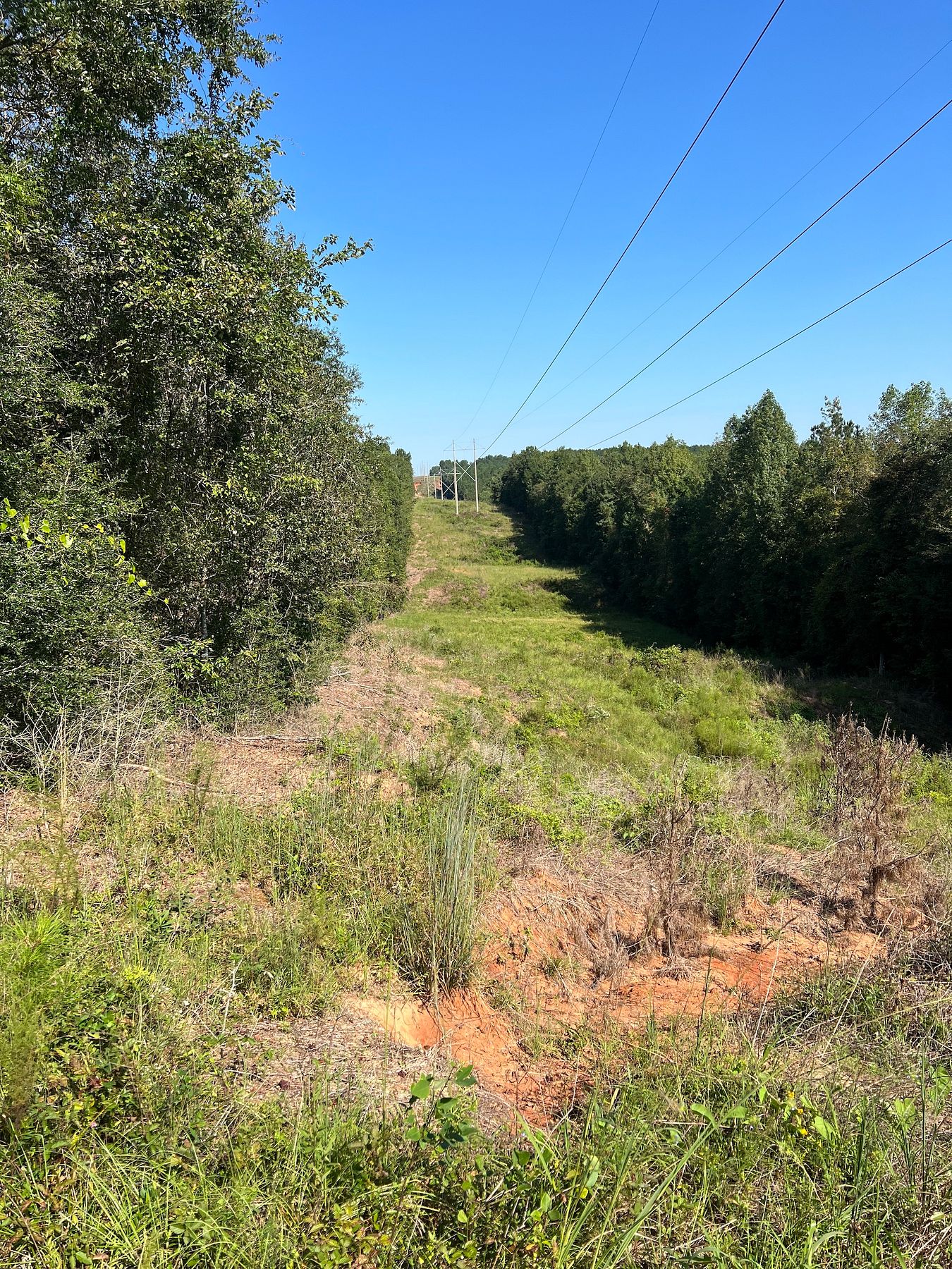 114 Acres of Recreational Land for Sale in Shubuta, Mississippi