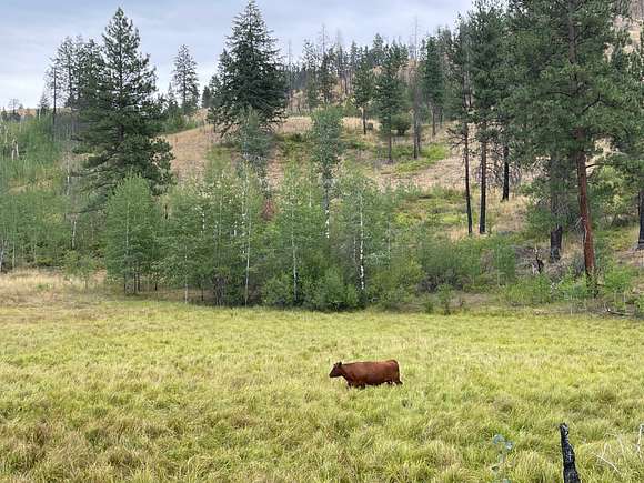 1,372 Acres of Land with Home for Sale in Okanogan, Washington