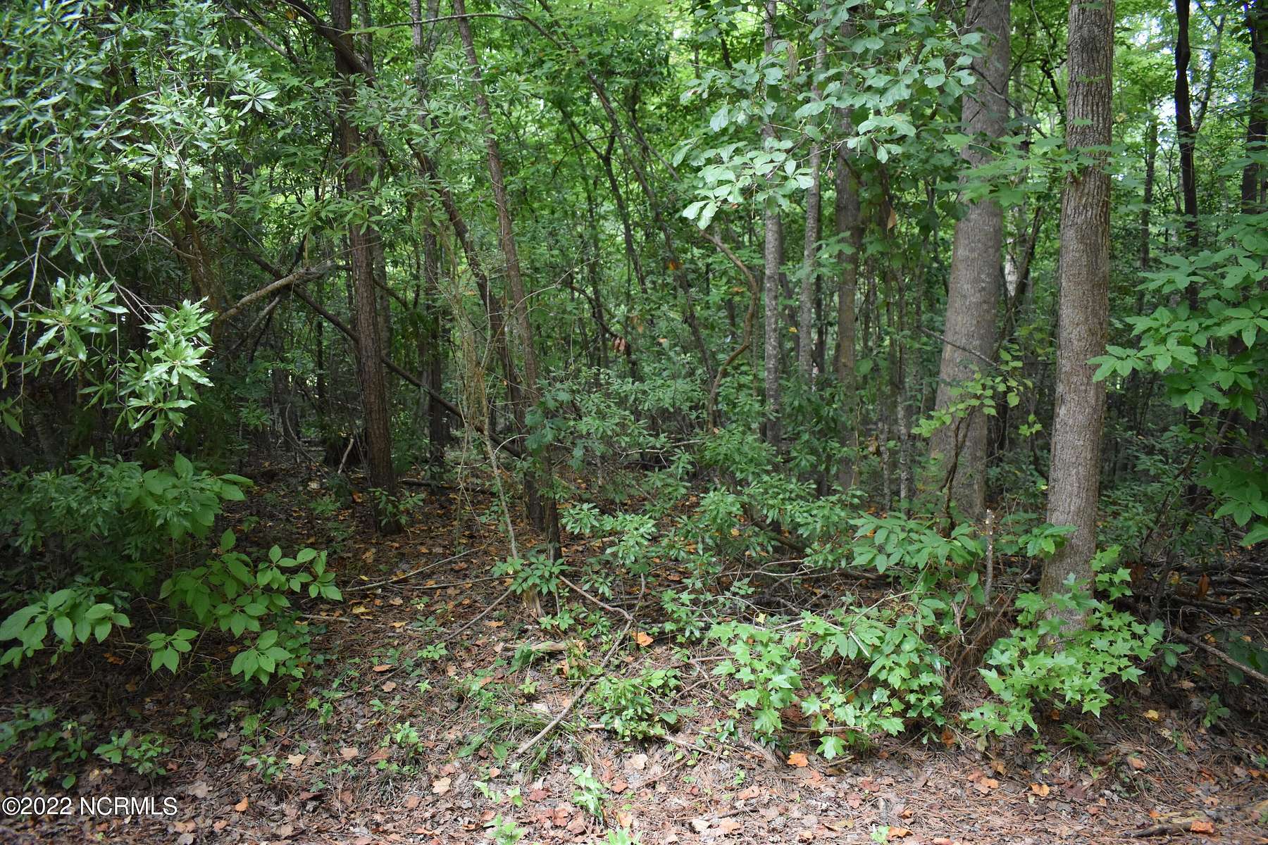 0.17 Acres of Residential Land for Sale in Blounts Creek, North Carolina
