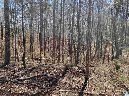 2.8 Acres of Residential Land for Sale in Anniston, Alabama