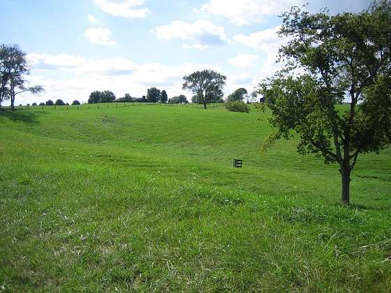 20 Acres of Land for Sale in Maysville, Kentucky
