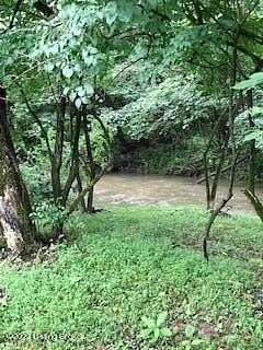 37.8 Acres of Land for Sale in Louisville, Kentucky