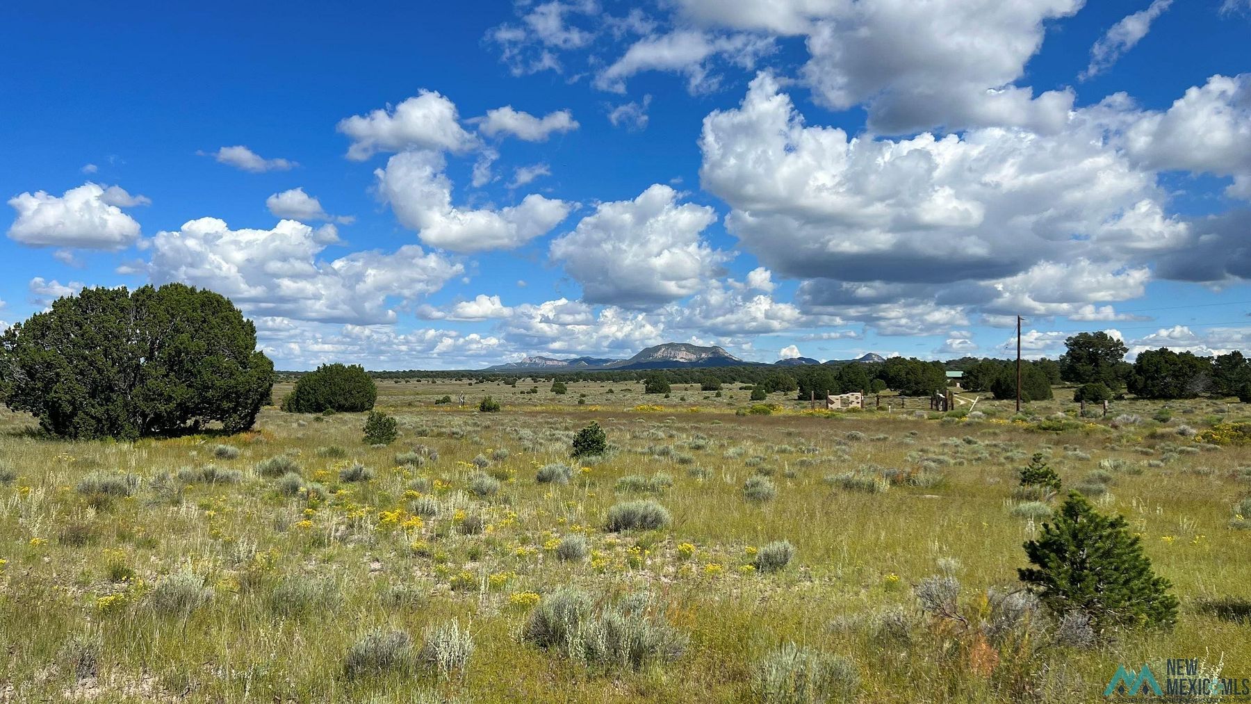 14 Acres of Recreational Land for Sale in Pie Town, New Mexico
