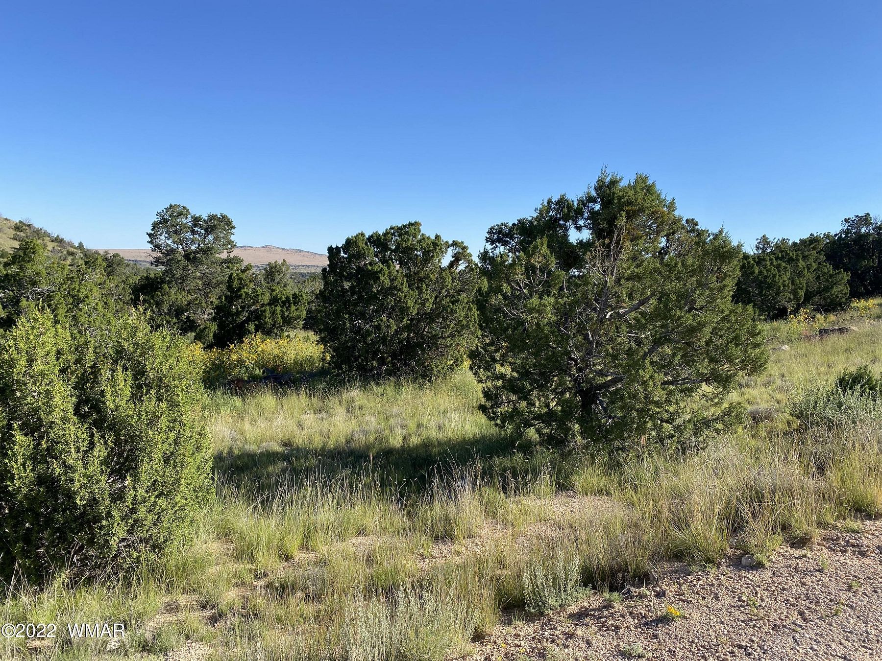 4.1 Acres of Residential Land for Sale in Springerville, Arizona