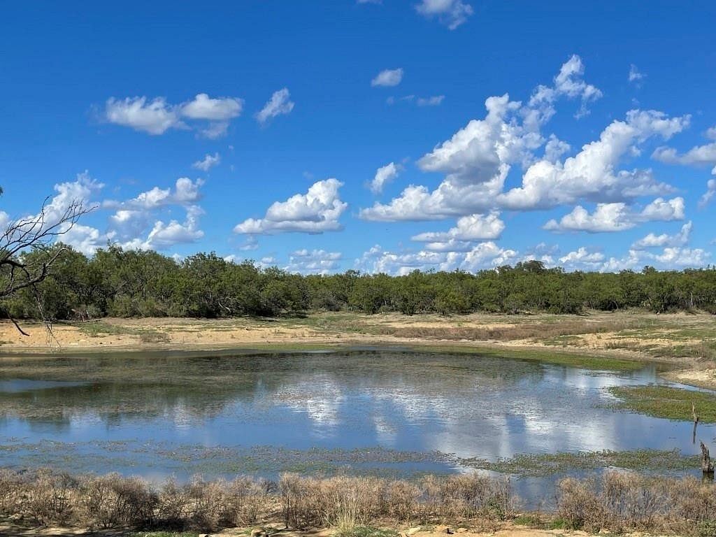 292 Acres of Recreational Land for Sale in Brownwood, Texas