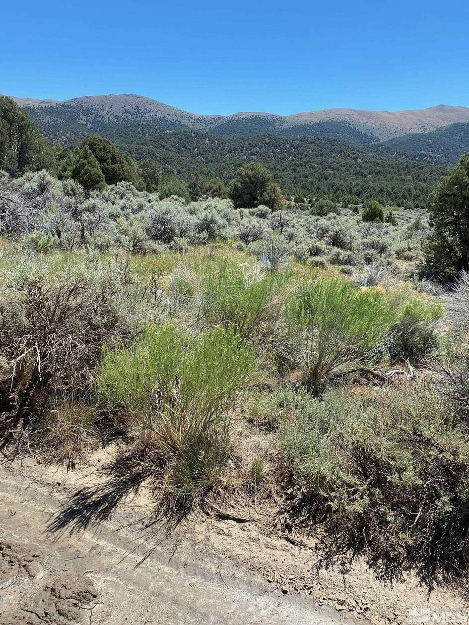 864 Acres of Recreational Land for Sale in Carson City, Nevada