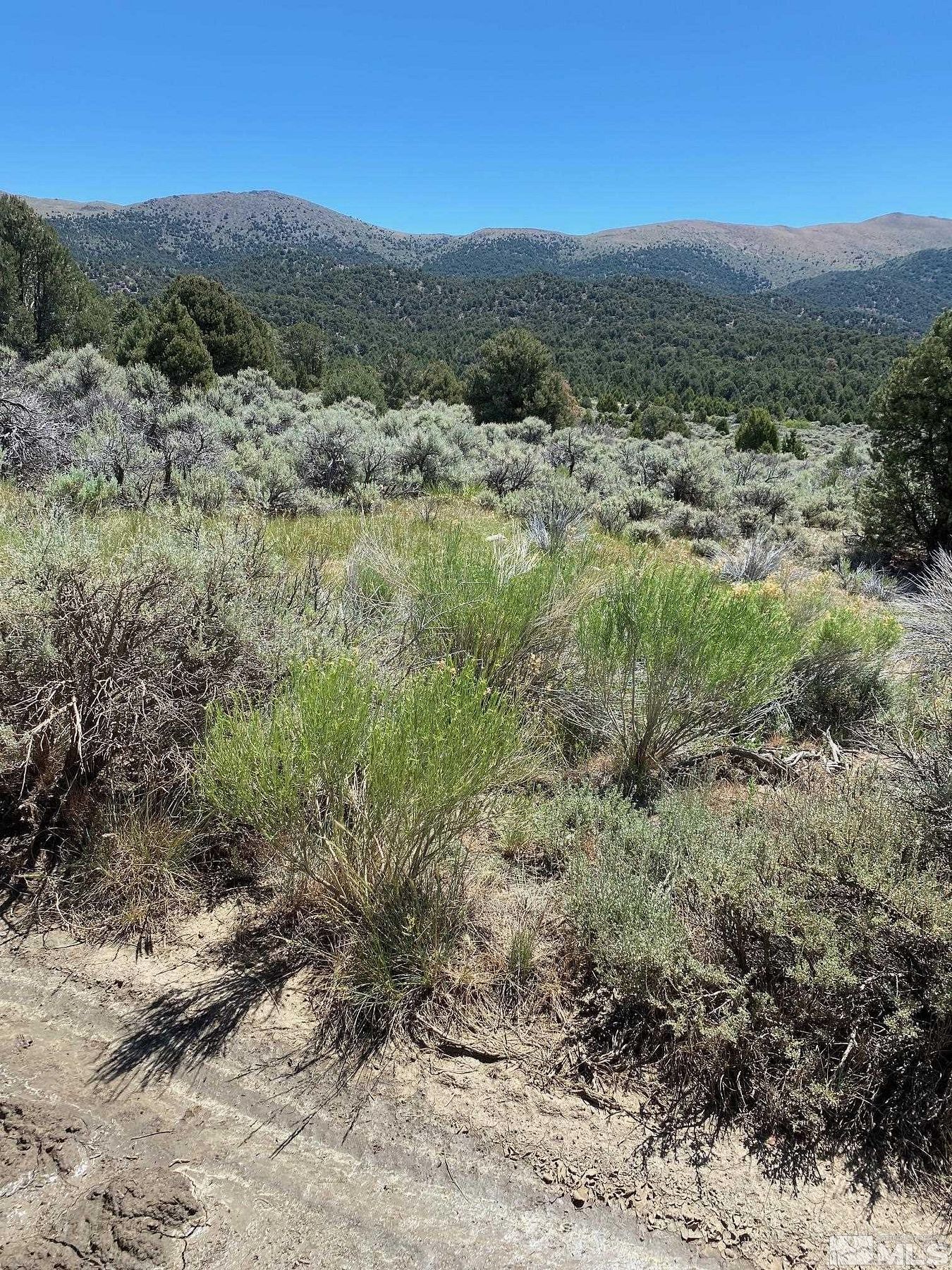 864 Acres of Land for Sale in Carson City, Nevada