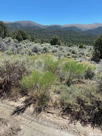 864 Acres of Recreational Land for Sale in Carson City, Nevada