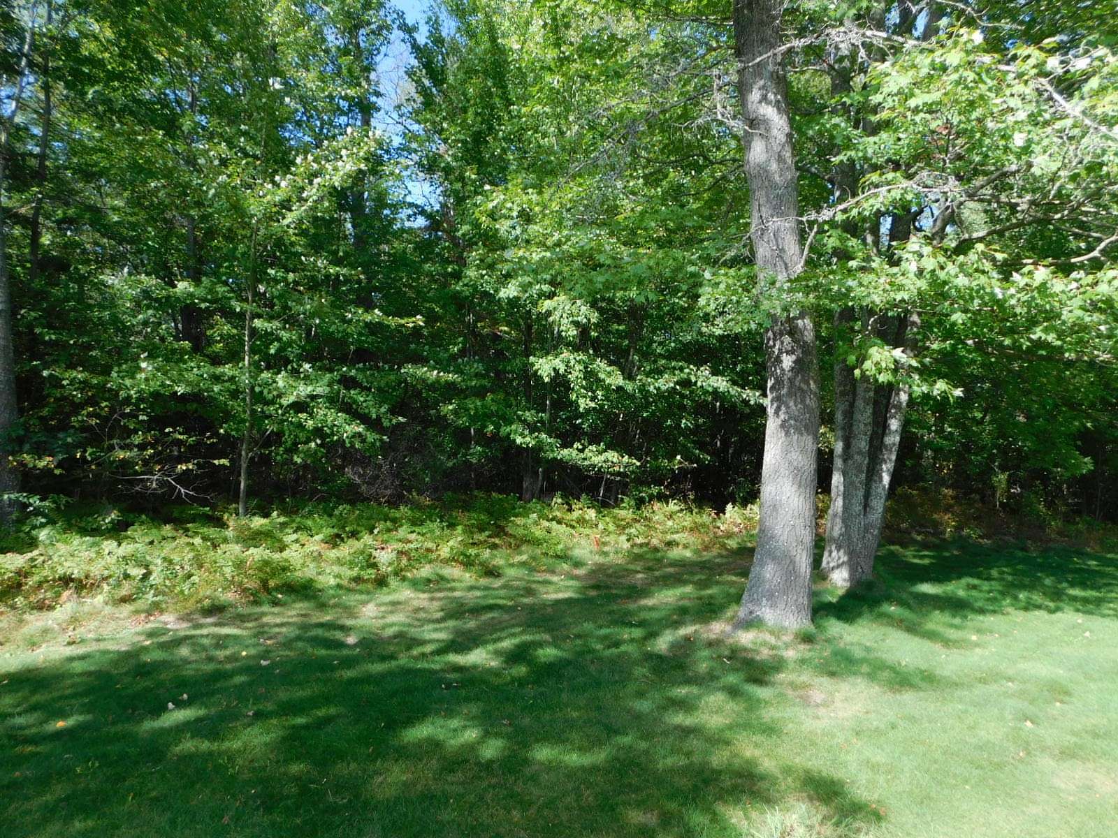 Residential Land for Sale in Grayling, Michigan
