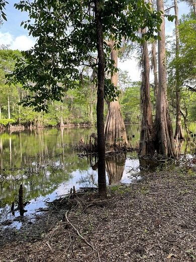 40 Acres of Recreational Land for Sale in Haughton, Louisiana