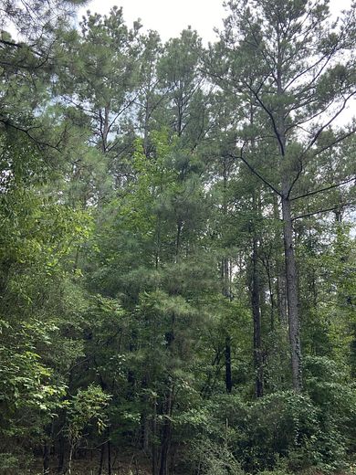 82 Acres of Recreational Land for Sale in Lawhon, Louisiana