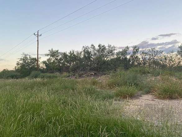 18.3 Acres of Agricultural Land for Sale in El Indio, Texas