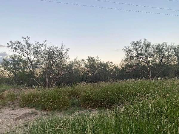 18.3 Acres of Agricultural Land for Sale in El Indio, Texas