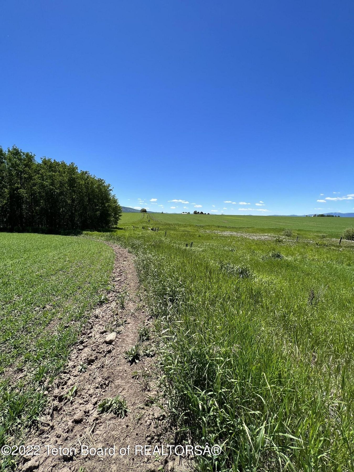 60 Acres of Agricultural Land for Sale in Alta, Wyoming