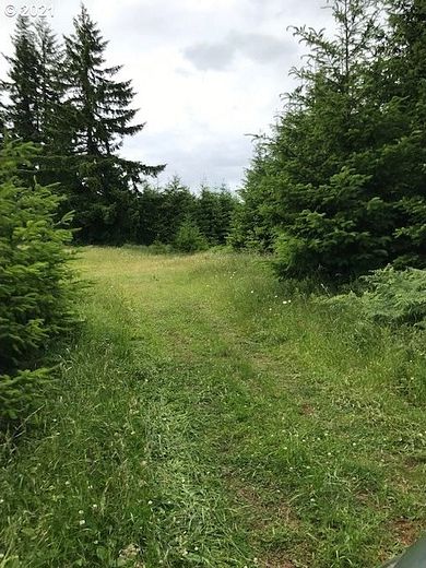 100 Acres of Land for Sale in Scappoose, Oregon