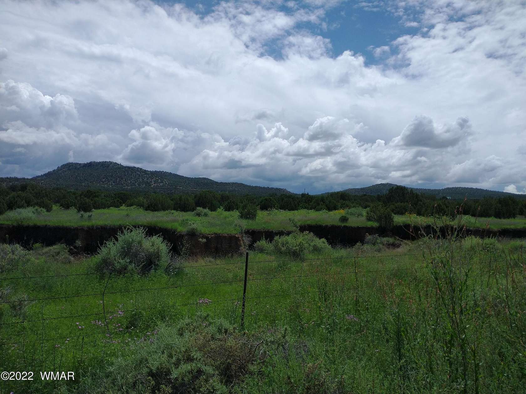 1.14 Acres of Residential Land for Sale in Concho, Arizona