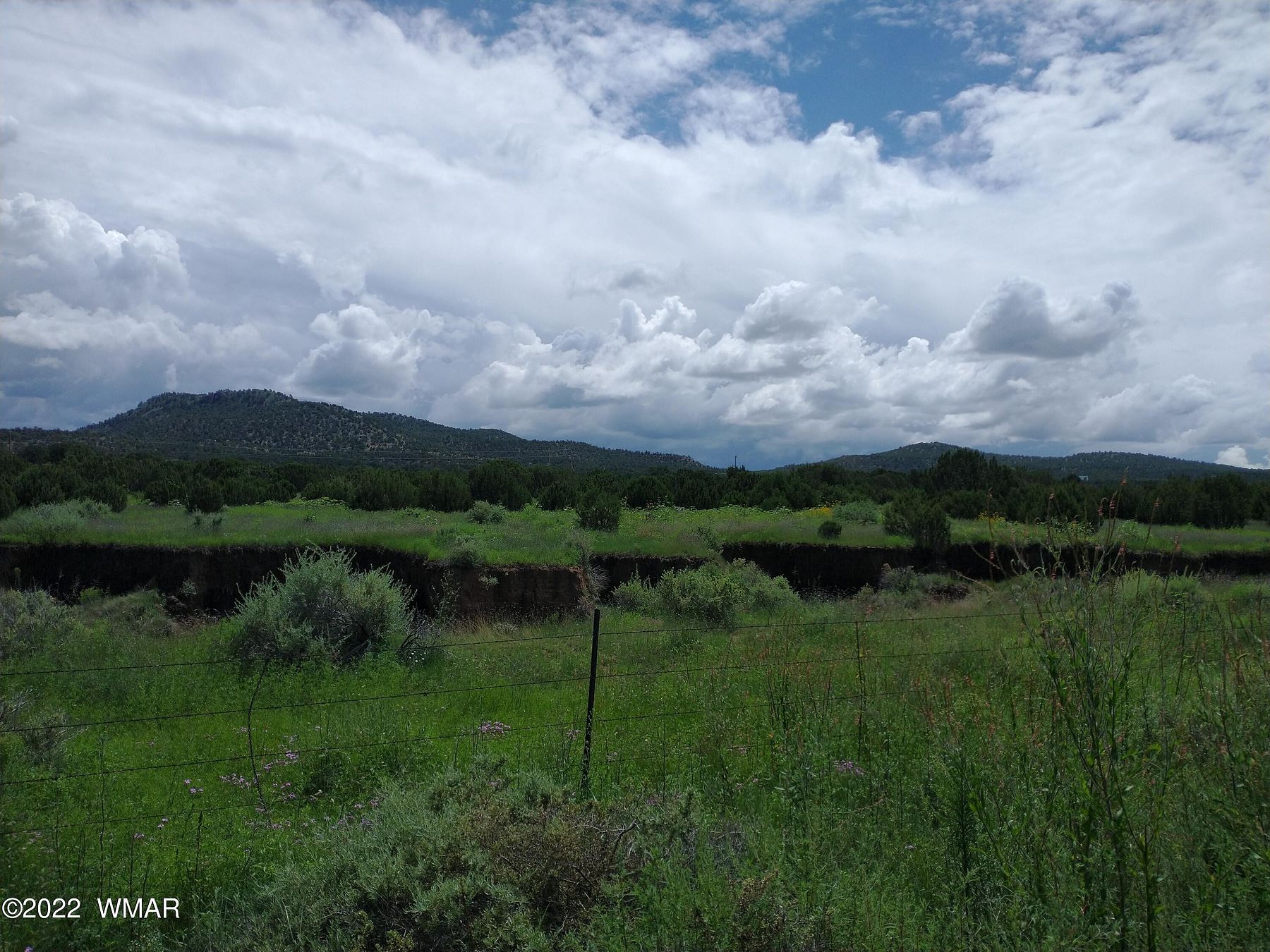 1.1 Acres of Residential Land for Sale in Vernon, Arizona
