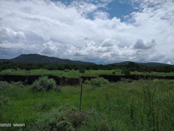 1.14 Acres of Residential Land for Sale in Concho, Arizona