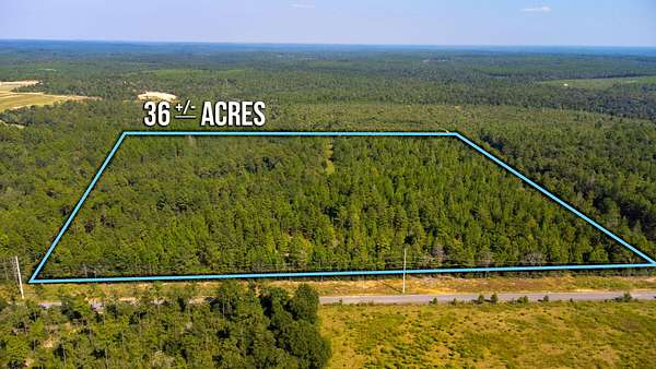 36.3 Acres of Recreational Land for Sale in DeFuniak Springs, Florida