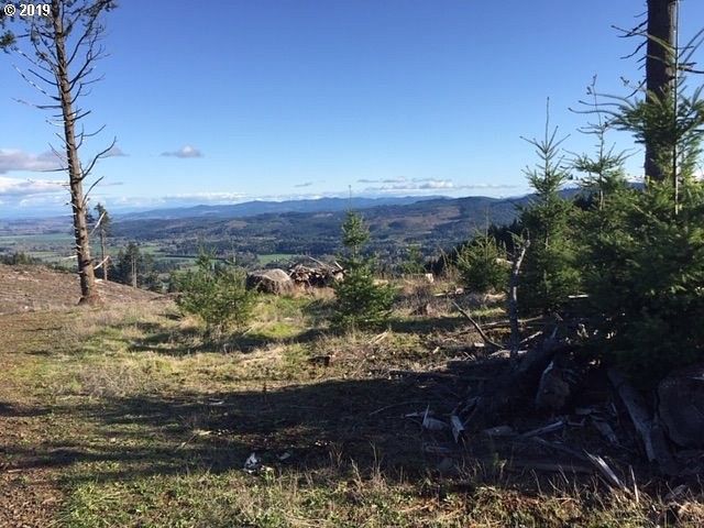 119 Acres of Land for Sale in Dallas, Oregon