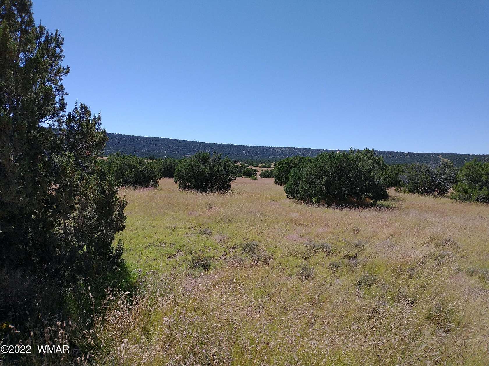 1.19 Acres of Residential Land for Sale in Concho, Arizona