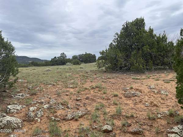 1.25 Acres of Residential Land for Sale in Concho, Arizona