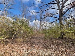 11 Acres of Land for Sale in Moscow Mills, Missouri
