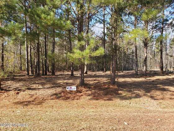 0.85 Acres of Residential Land for Sale in Blounts Creek, North Carolina