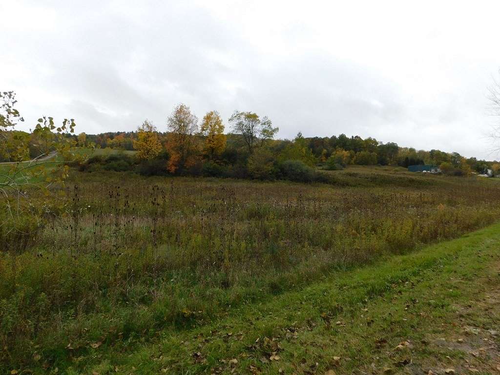 8.4 Acres of Land for Sale in Nichols, New York