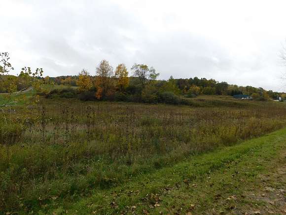 8.42 Acres of Land for Sale in Nichols, New York