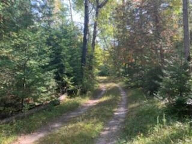 40 Acres of Recreational Land for Sale in Beaver Island, Michigan