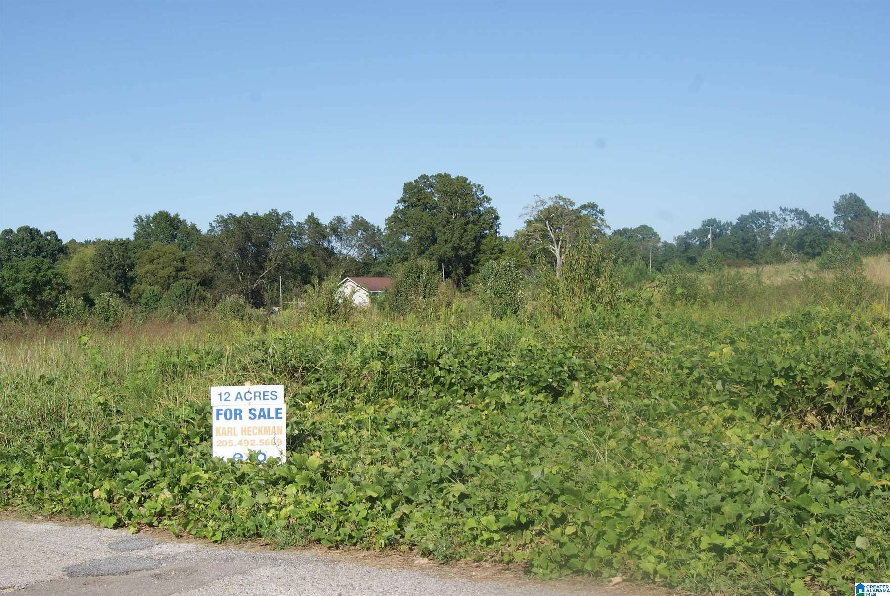 12 Acres of Land for Sale in Lincoln, Alabama