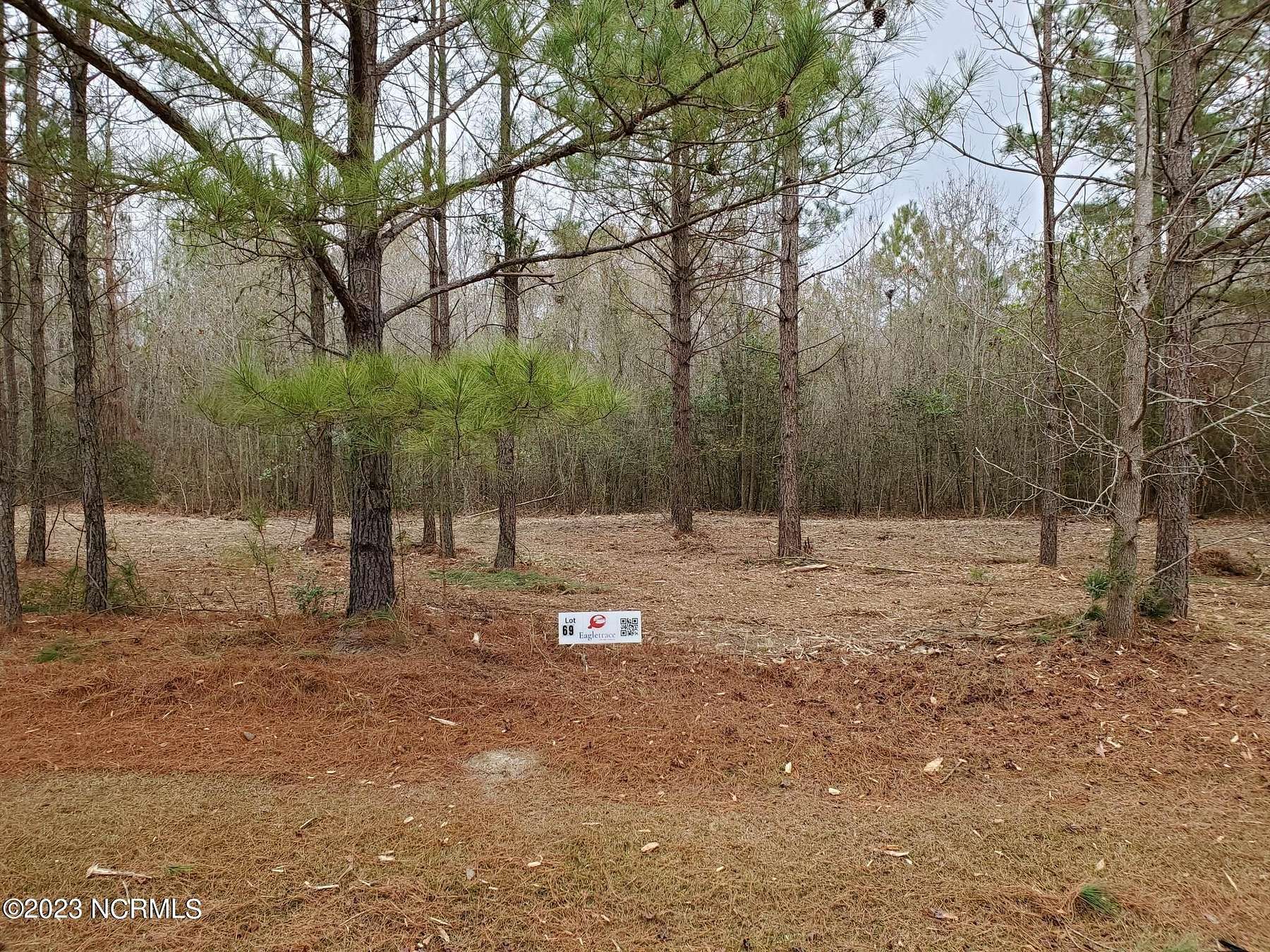 1 Acre of Residential Land for Sale in Blounts Creek, North Carolina