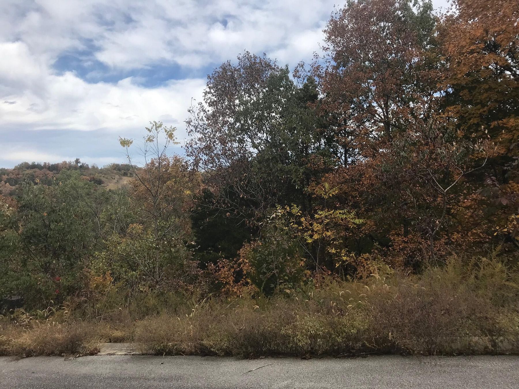 0.64 Acres of Residential Land for Sale in Hollister, Missouri