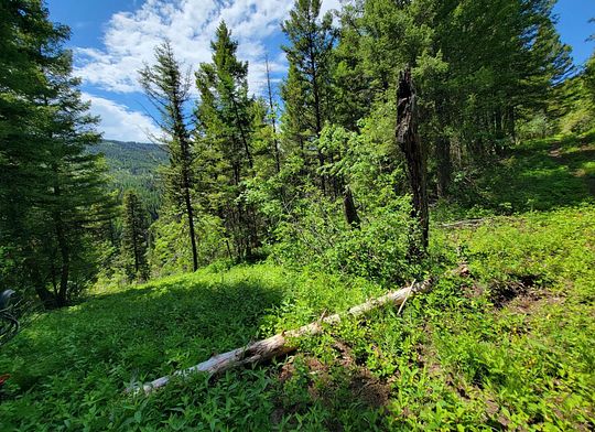 28.3 Acres of Recreational Land for Sale in Bonner, Montana