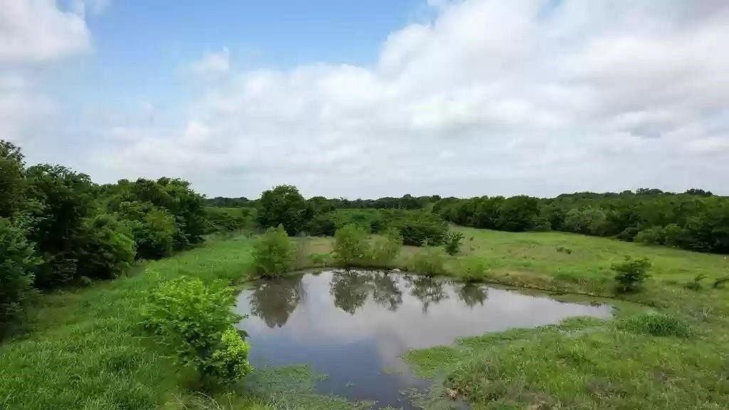 38.5 Acres of Agricultural Land for Sale in Kemp, Texas