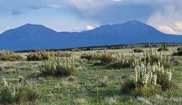 5.5 Acres of Residential Land for Sale in Walsenburg, Colorado