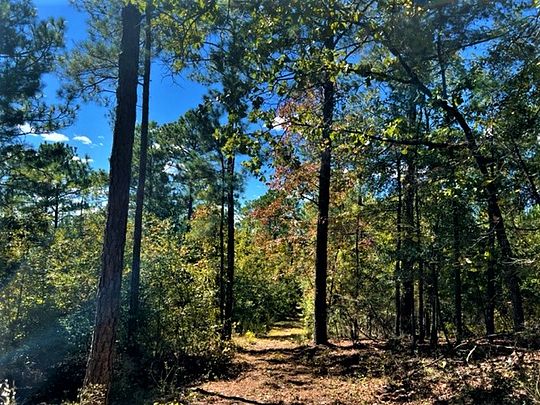 136 Acres of Recreational Land for Sale in Tallassee, Alabama