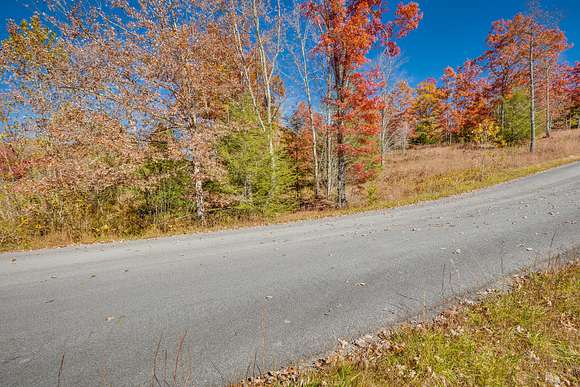 0.59 Acres of Residential Land for Sale in Unicoi, Tennessee