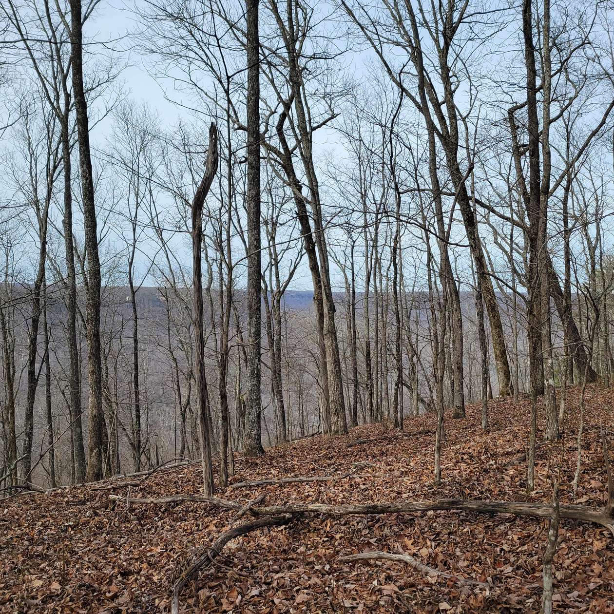 6.64 Acres of Land for Sale in Sewanee, Tennessee